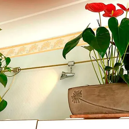 T2 à Pied De Sur Ancien Chic, Samedi A Samedi Appartement *