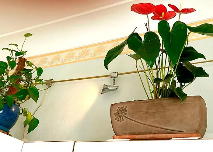 T2 A Pied De Sur Ancien Chic, Samedi A Samedi Apartament *